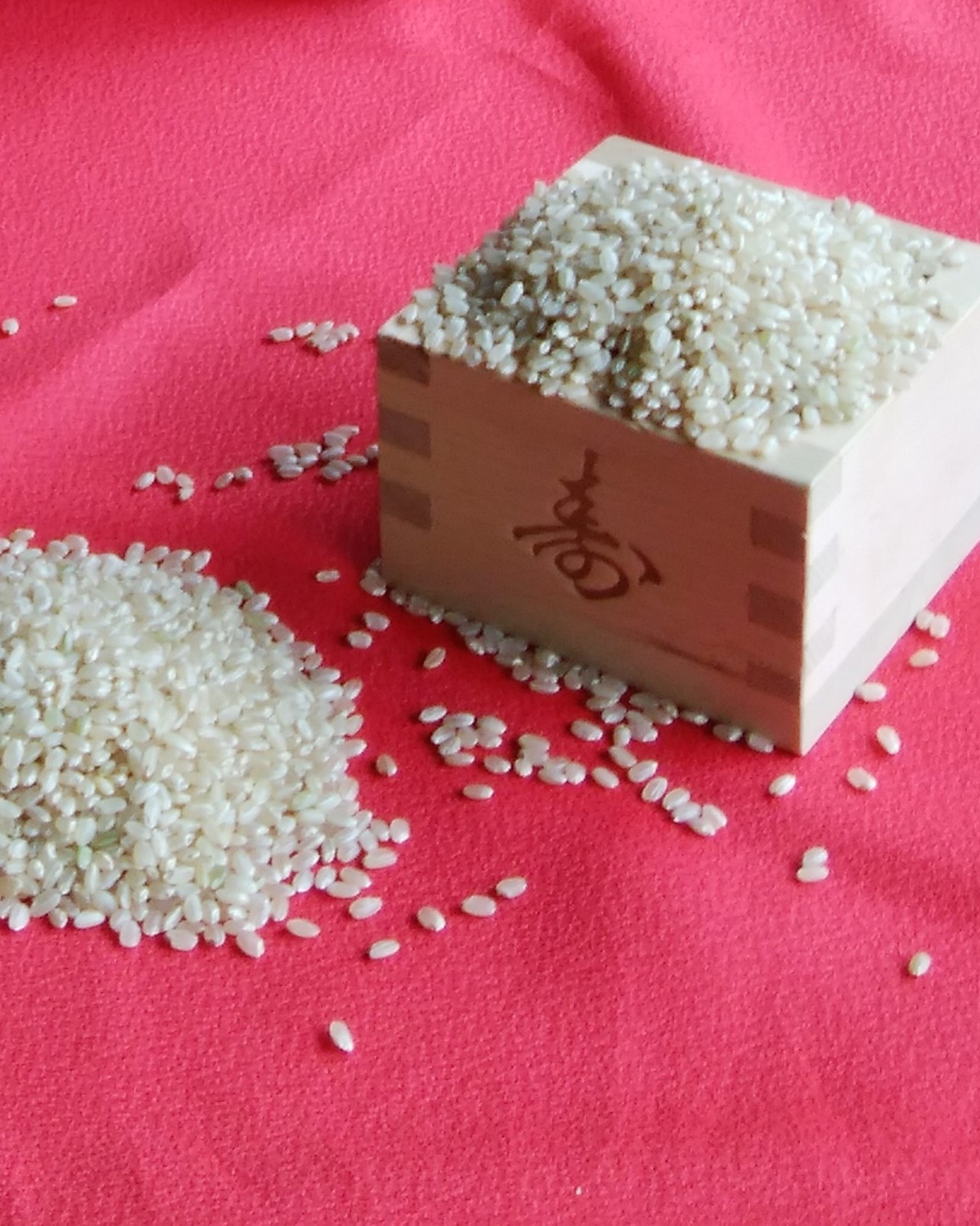 �R�V�q�J������