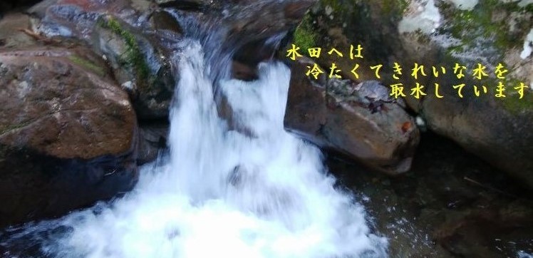 ���ꂢ�Ȑ�